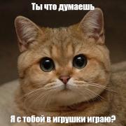 Портрет