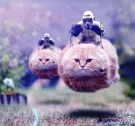 Портрет