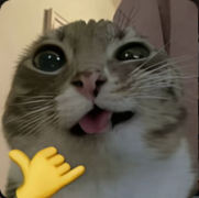 Портрет