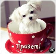 Портрет