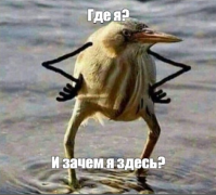 Портрет